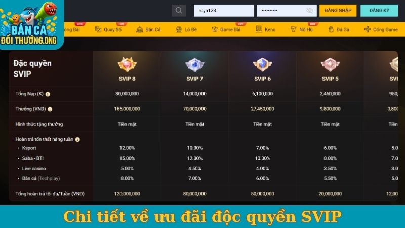 Chi tiết về ưu đãi độc quyền SVIP