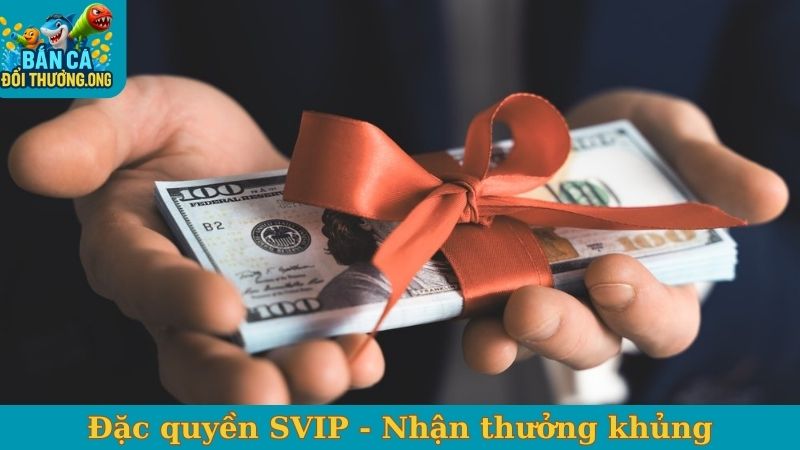 Đặc quyền SVIP Five88 - Cược thượng lưu, nhận thưởng khủng