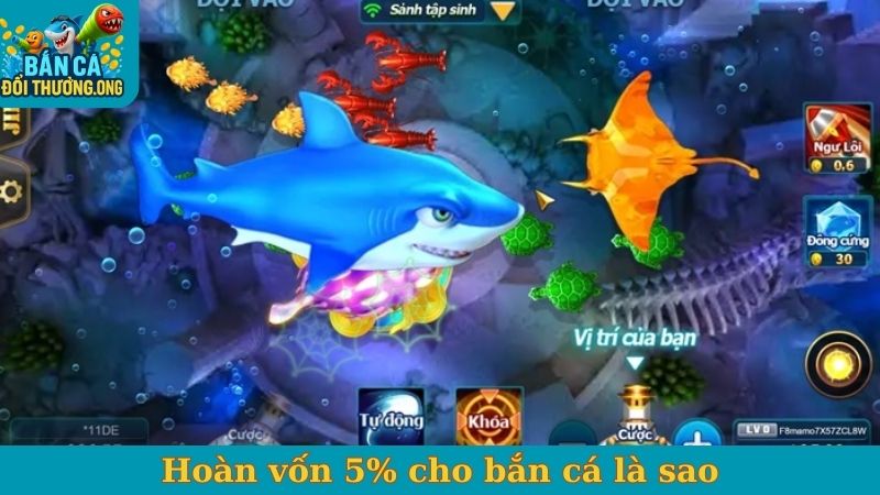 Hoàn vốn 5% cho bắn cá là sao?