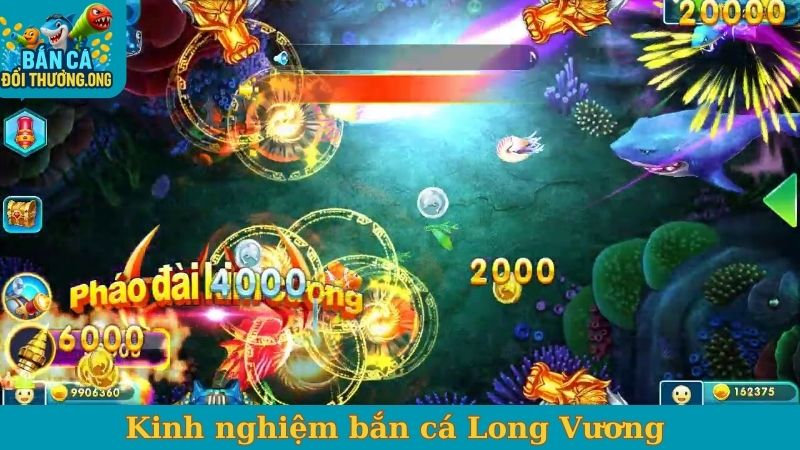 Kinh nghiệm bắn cá Long Vương