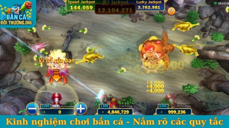 Kinh nghiệm chơi bắn cá - Nắm rõ các quy tắc cơ bản