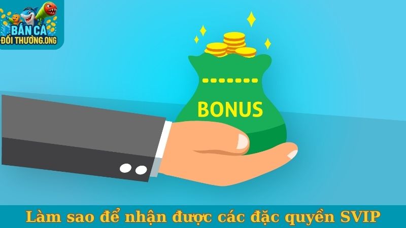 Làm sao để nhận được các đặc quyền SVIP