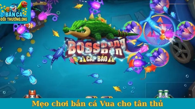 Mẹo chơi bắn cá Vua cho tân thủ