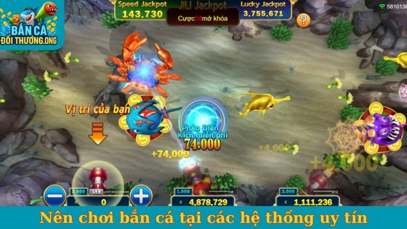 Nên chơi bắn cá tại các hệ thống uy tín