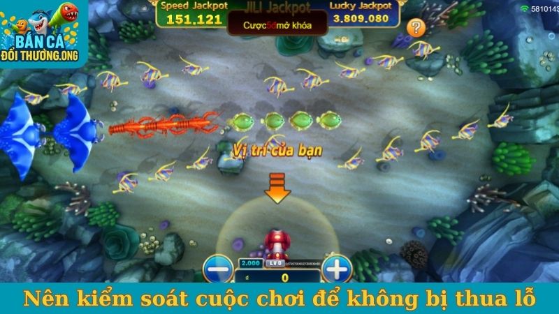 Nên kiểm soát cuộc chơi để không bị thua lỗ