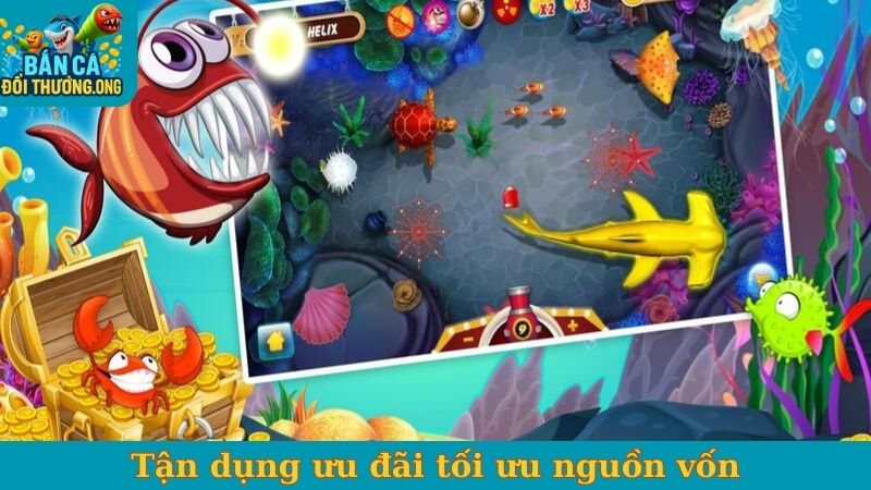 Tận dụng ưu đãi tối ưu nguồn vốn