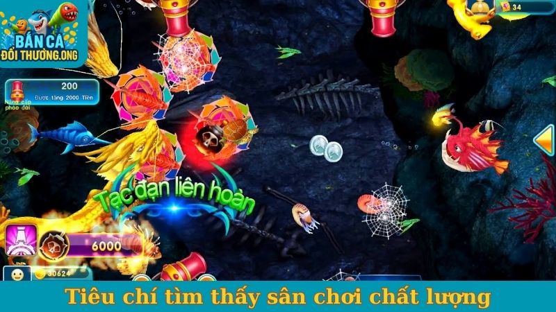 Tiêu chí tìm thấy sân chơi chất lượng