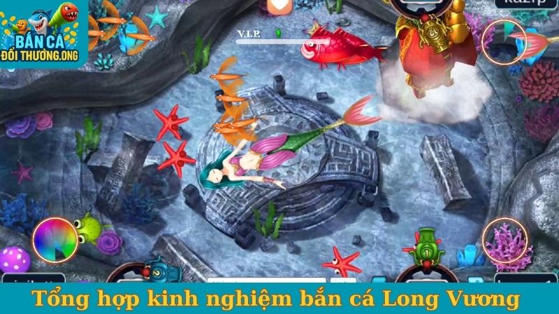 Tổng hợp những kinh nghiệm bắn cá Long Vương 