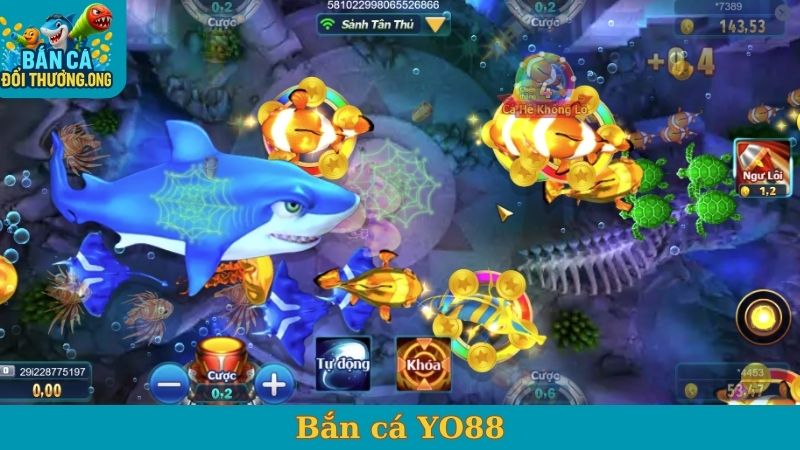 Bắn cá Yo88