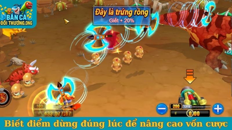 Biết điểm dừng đúng lúc để nâng cao vốn cược