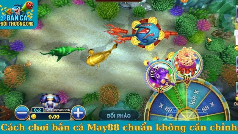 Cách chơi bắn cá May88 chuẩn không cần chỉnh