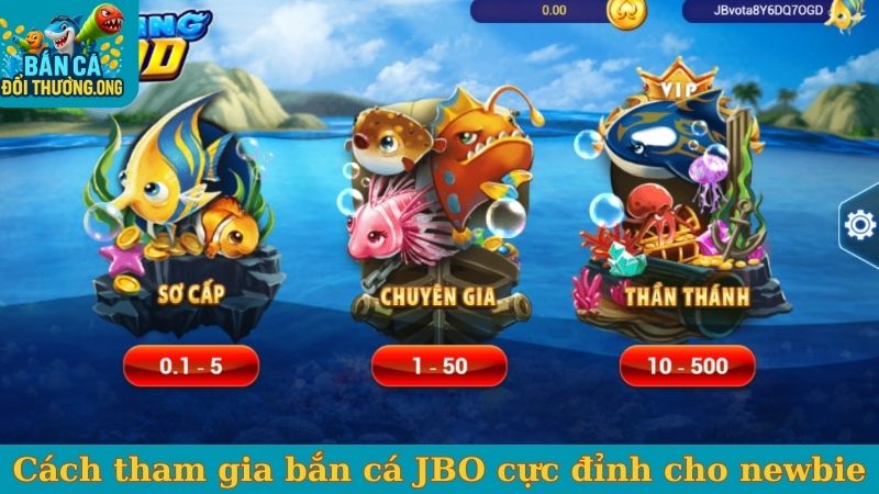 Cách tham gia bắn cá JBO cực đỉnh cho newbie