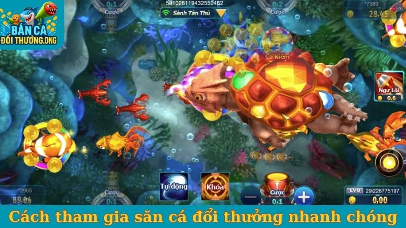 Cách tham gia săn cá đổi thưởng nhanh chóng