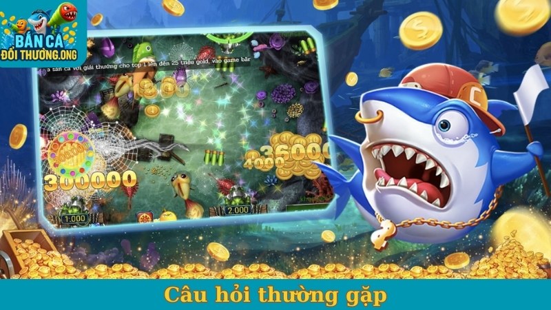 Câu hỏi thường gặp