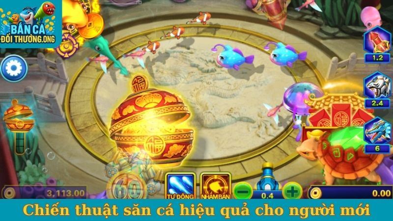 Chiến thuật săn cá online hiệu quả cho người mới