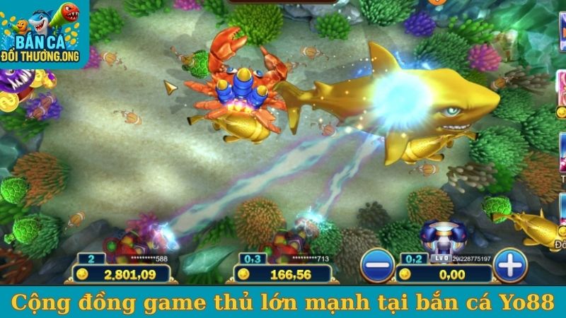 Cộng đồng game thủ lớn mạnh tại bắn cá Yo88