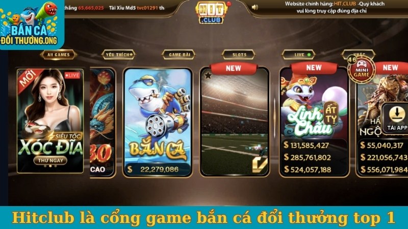 Hitclub là cổng game bắn cá đổi thưởng top 1