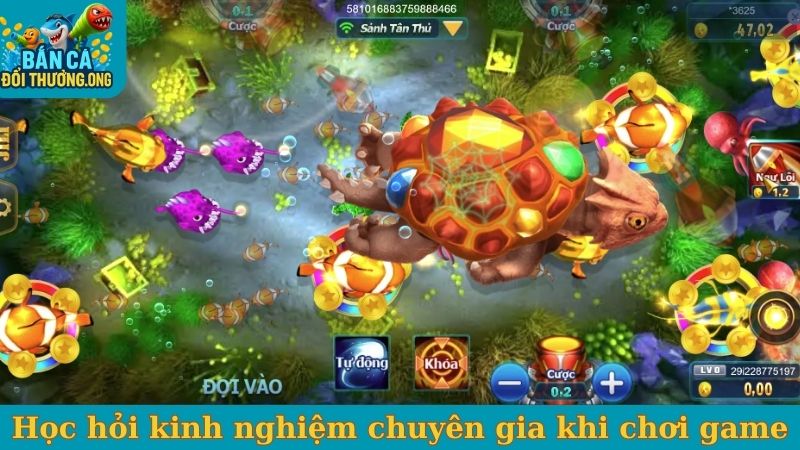 Học hỏi kinh nghiệm từ chuyên gia khi chơi game