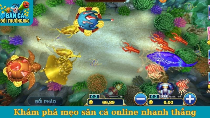 Khám phá mẹo săn cá online nhanh thắng