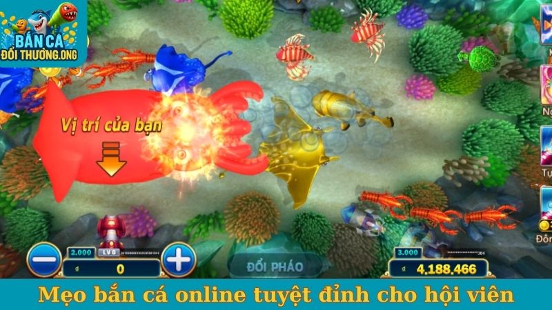 Mẹo bắn cá online tuyệt đỉnh cho hội viên