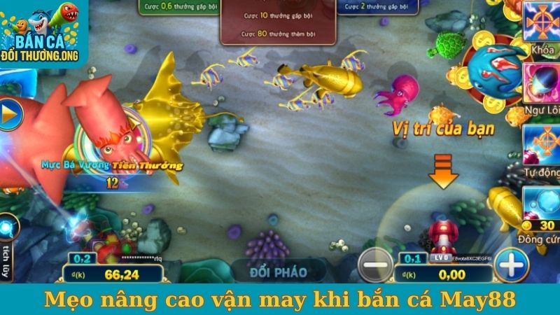 Mẹo nâng cao vận may khi bắn cá May88