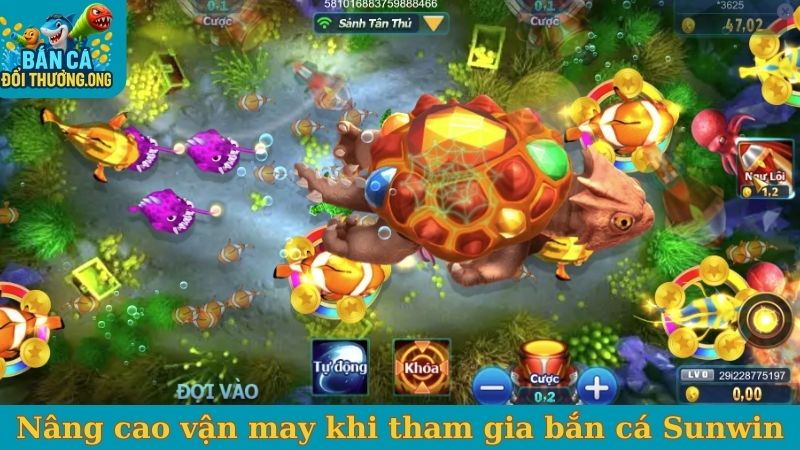 Nâng cao vận may khi tham gia bắn cá Sunwin