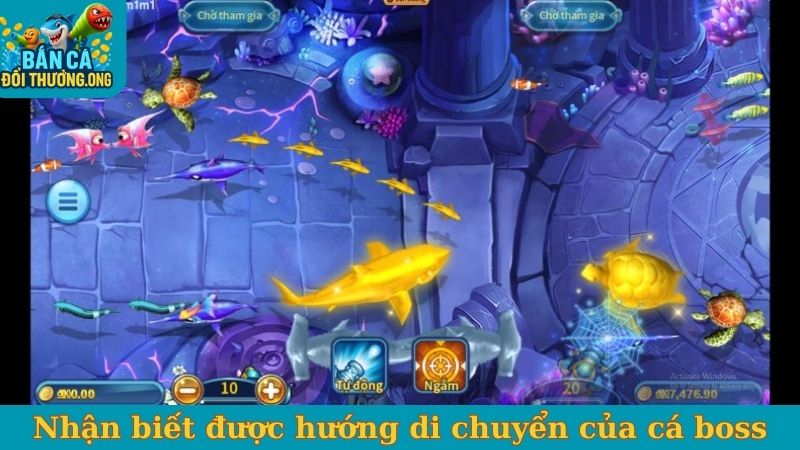 Nhận biết được hướng di chuyển của cá boss