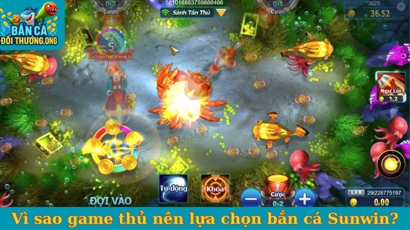 Vì sao game thủ nên lựa chọn bắn cá Sunwin?